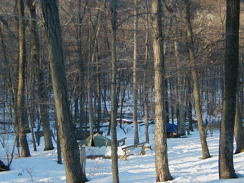 P2100016.JPG