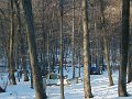 P2100016