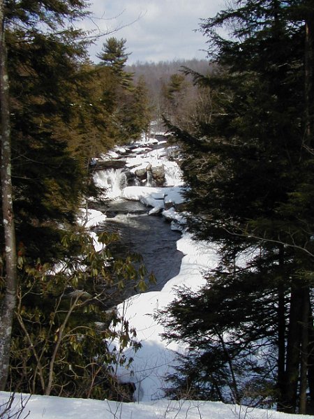 P3100011.JPG