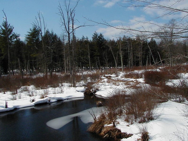 P3100018.JPG