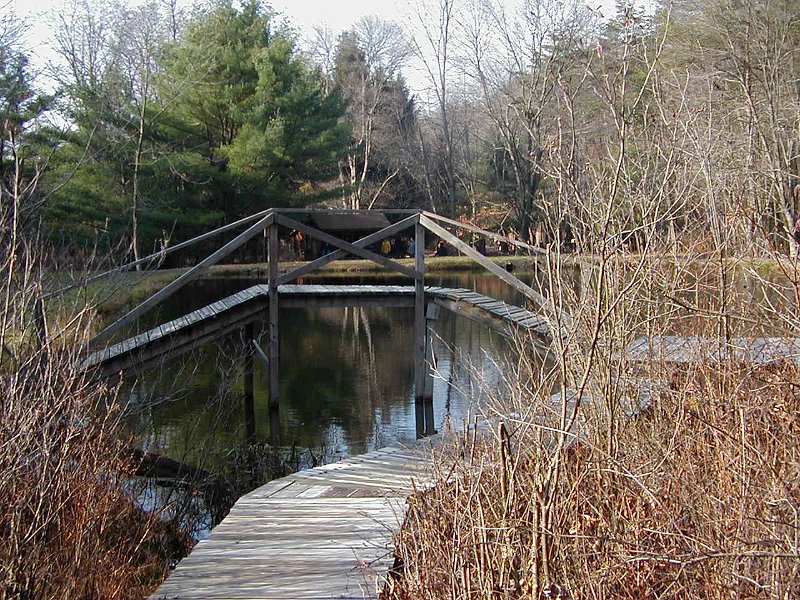 PB240029.JPG