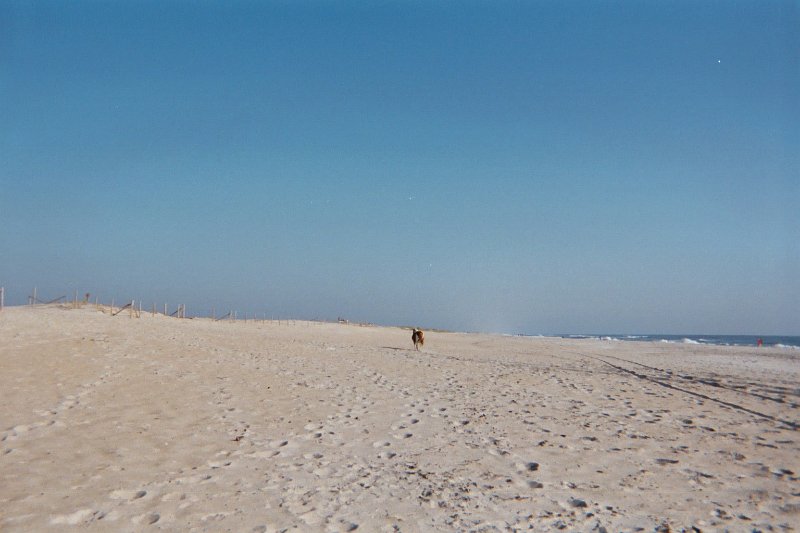 003_0A.JPG