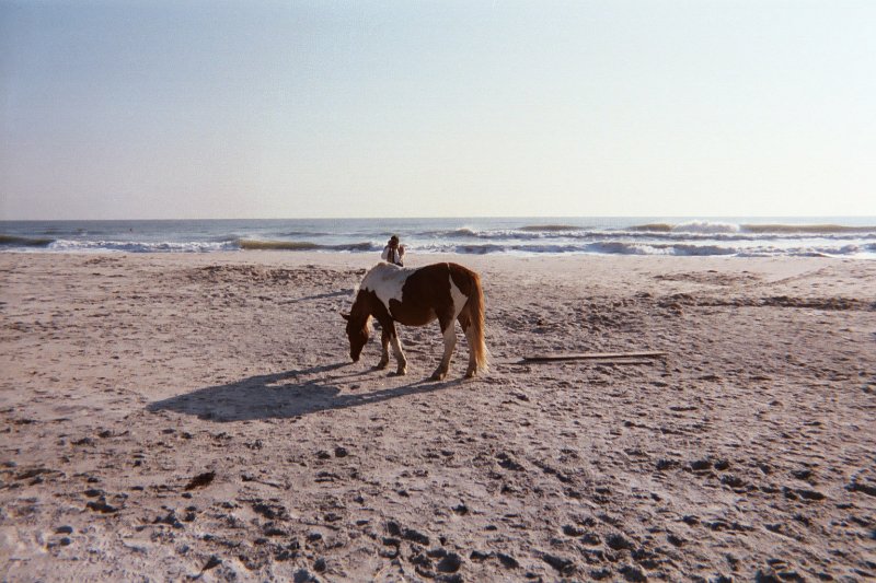 005_2A.JPG