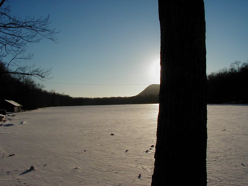 P1180017.jpg