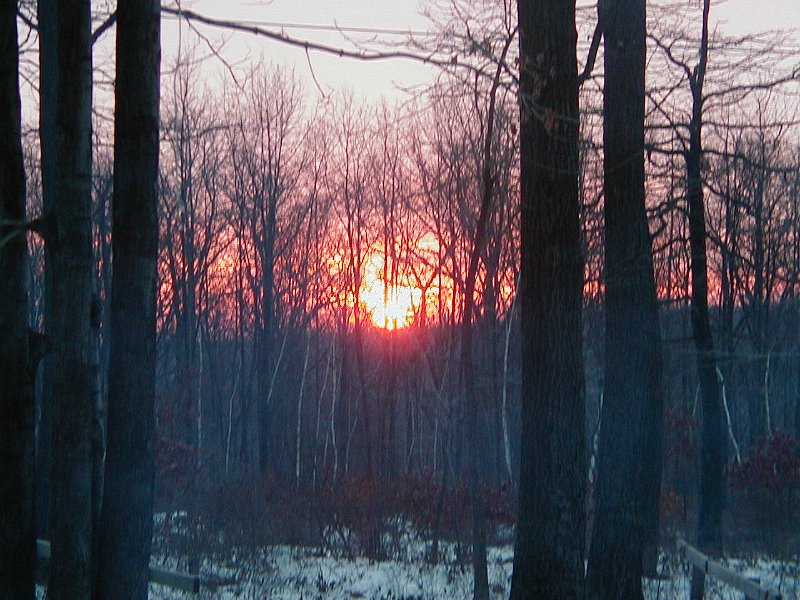 P1190035.JPG