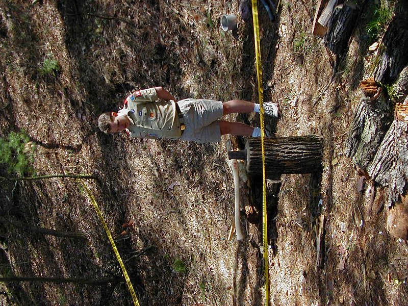 P1010045.JPG
