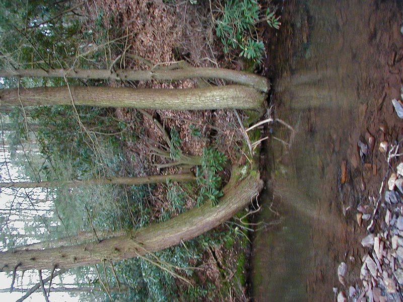 P1010080.JPG