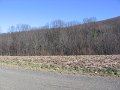 IMG_0773