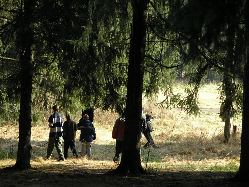 HorseShoe51.jpg
