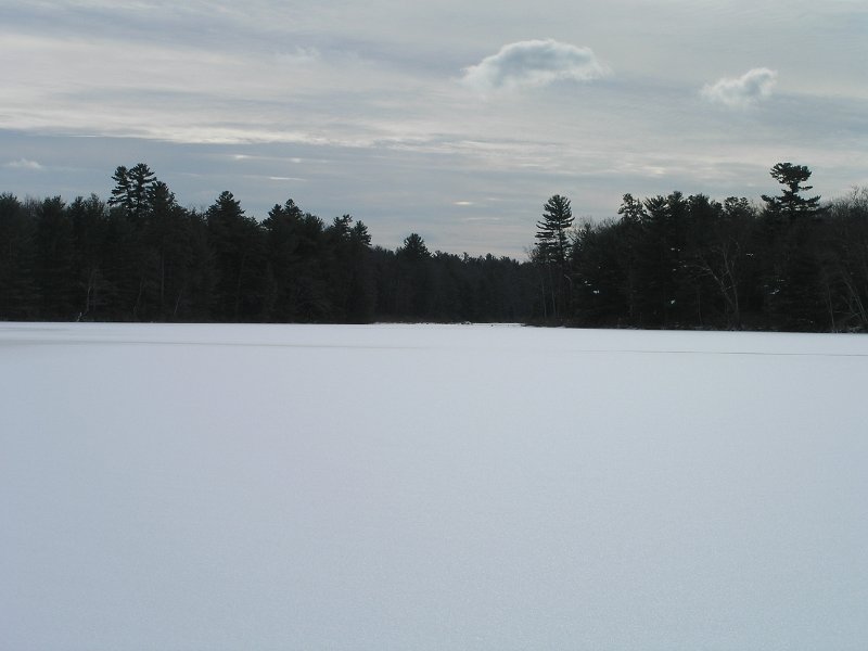 P1180027.JPG