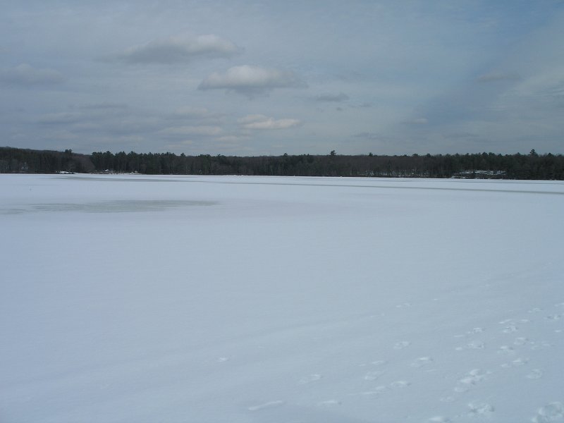 P1180033.JPG