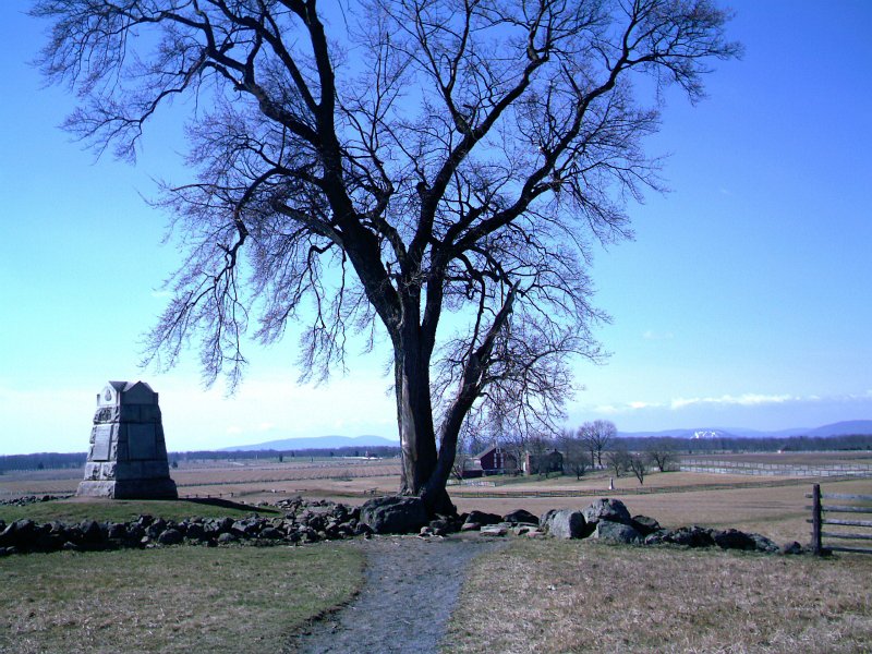 IMAG0377.JPG