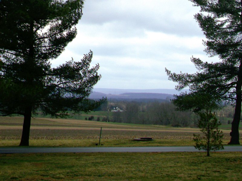 IMAG0417.JPG