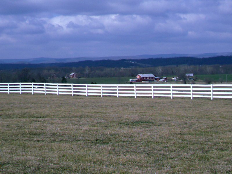 IMAG0422.JPG