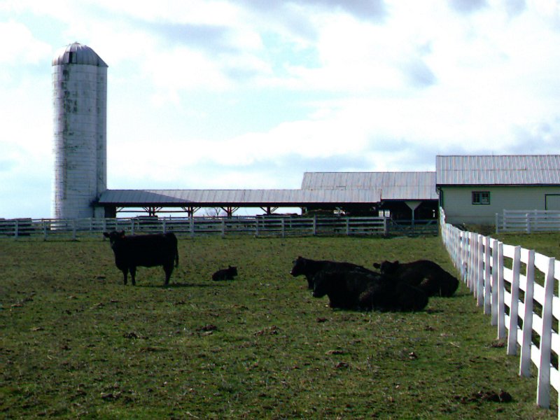 IMAG0423.JPG