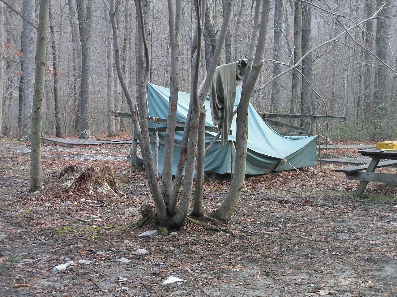 P3140004.JPG