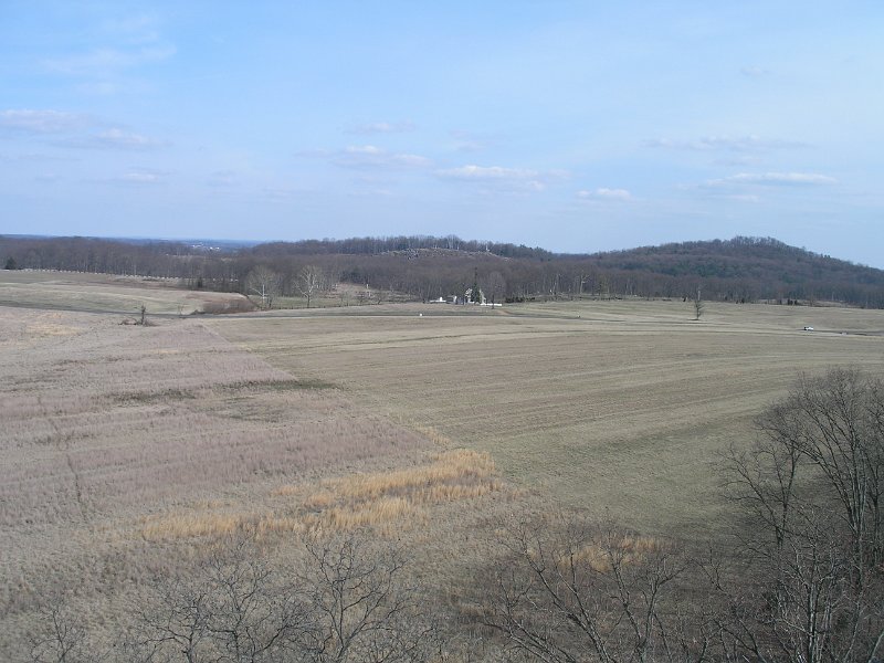 P3140100.JPG