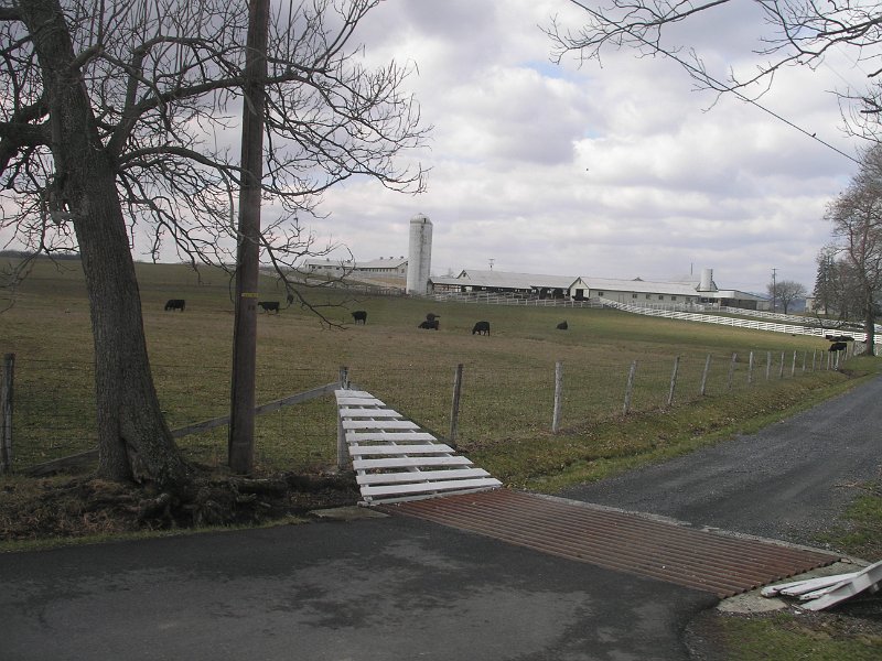 P3150213.JPG