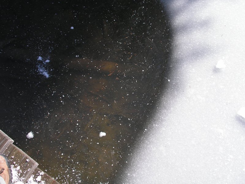 P2150042.JPG
