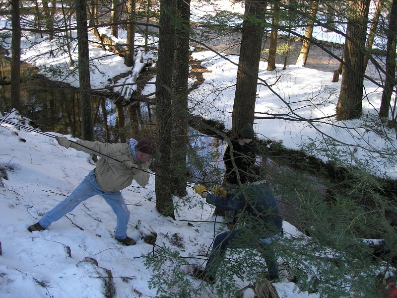 P2150057.JPG