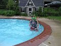 P5300158