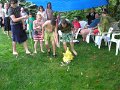 P5300184