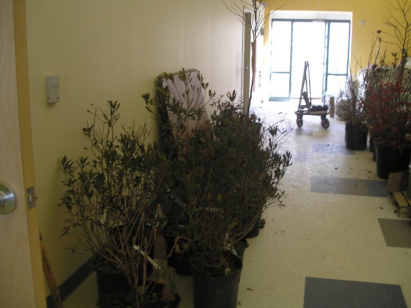 PB210019.JPG