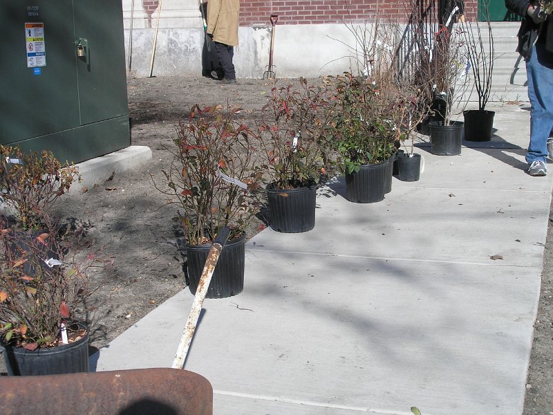PB210053.JPG