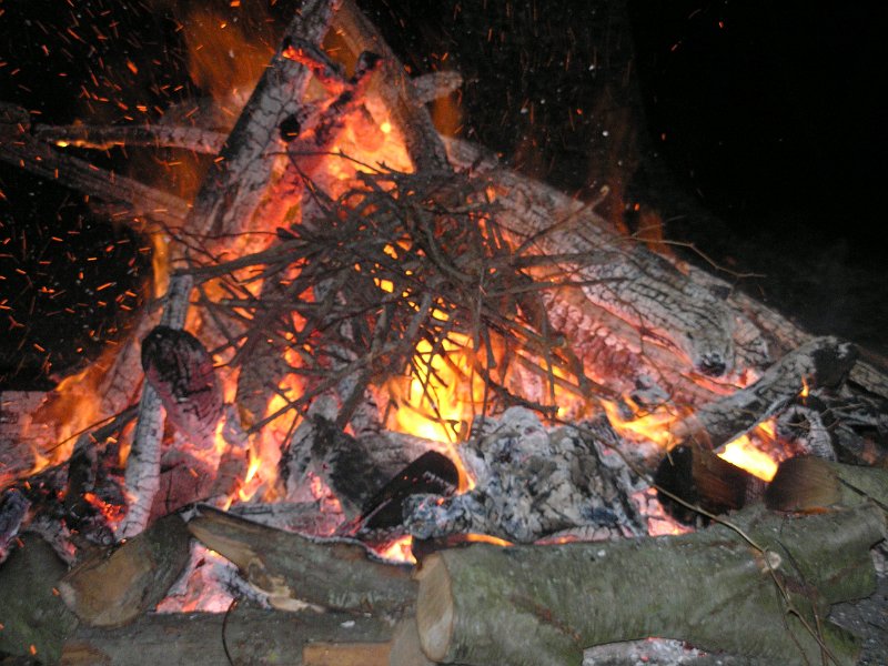 P4120140.JPG