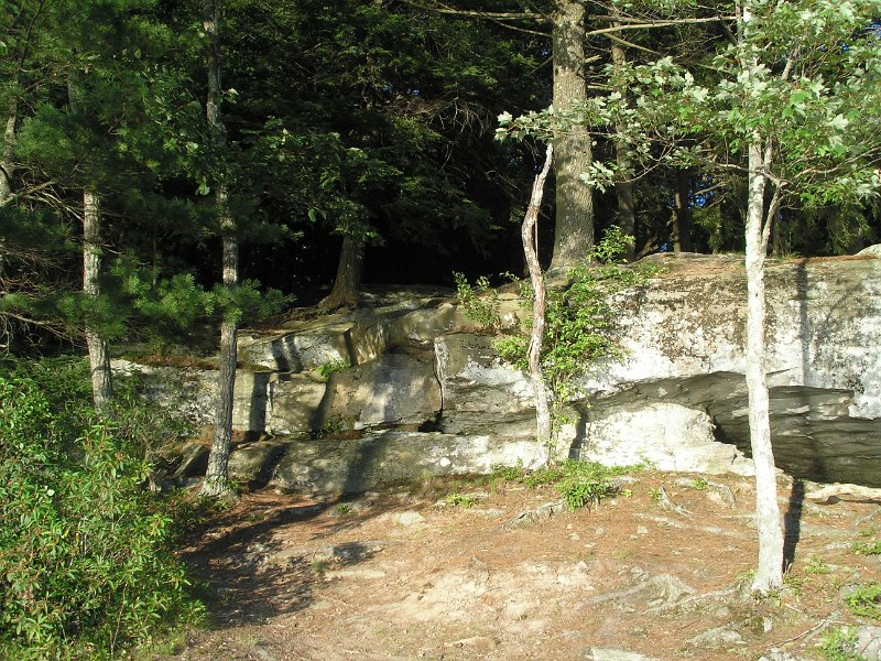 P7100193.JPG