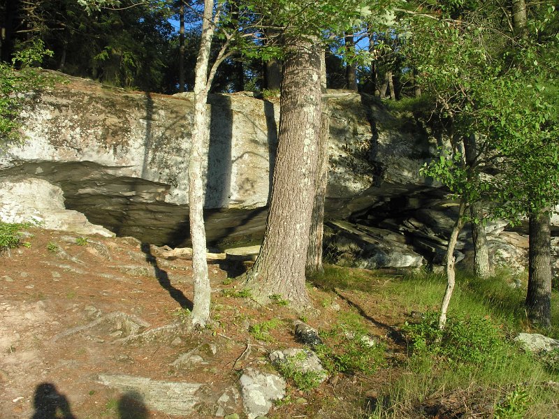 P7100194.JPG