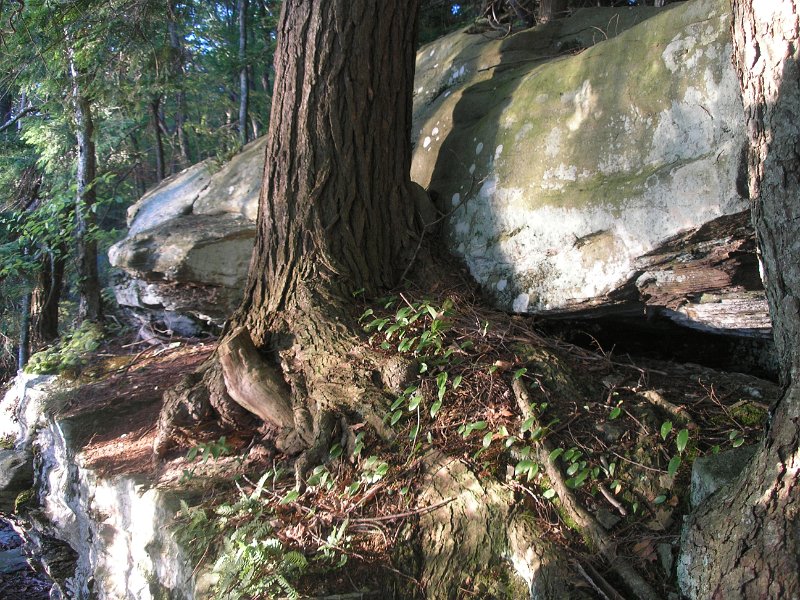 P7100196.JPG