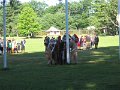 IMG_1650