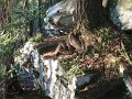IMG_1674