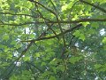 P7110332