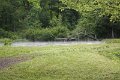 IMG_1605