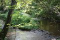 IMG_1621