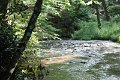 IMG_1623