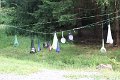 IMG_1685