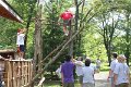 IMG_1775