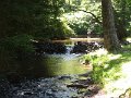 IMG_2154