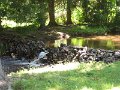 IMG_2156