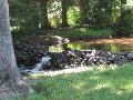 IMG_2158
