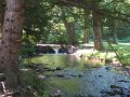 IMG_2160