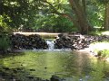 IMG_2161