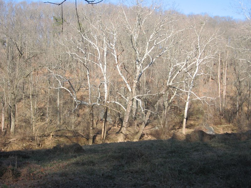 IMG_2369.JPG