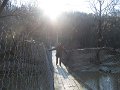 IMG_2376
