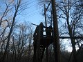 IMG_2381