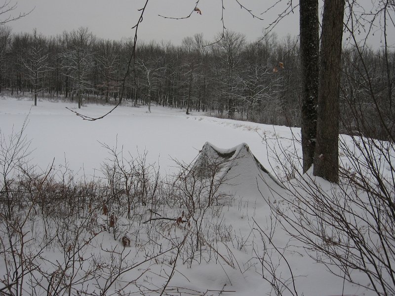 IMG_1867.JPG