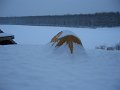 IMG_1859